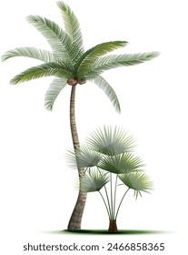 Tree Like Palms Plant Icon