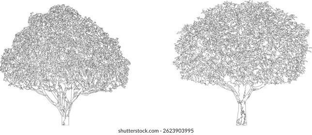 Tree Line Art Collection, Isolated on White Background