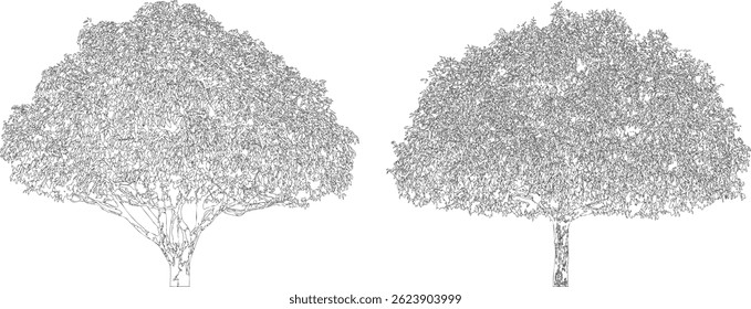 Tree Line Art Collection, Isolated on White Background