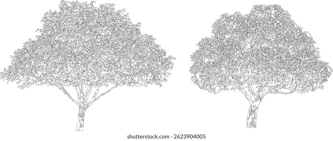 Tree Line Art Collection, Isolated on White Background