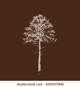 tree. Line drawing Isolated on brown Background. Hand drawn sketch. Vector illustration.