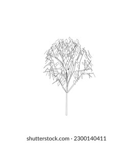 dibujo de línea de árbol, vista lateral, elementos de árboles gráficos de un solo objeto contorno símbolo de planta mínimo para arquitectura y diseño de paisaje. Ilustración vectorial en el trazo rellena de blanco. bosque tropical.
