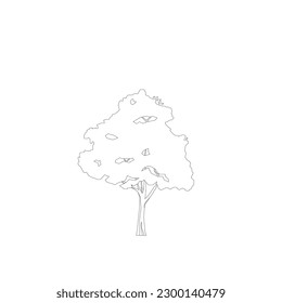 tree line drawing, Side view, graphics trees elements single object outline minimal plant symbol for architecture and landscape design. Vector illustration in stroke fill in white. forest, tropical.
