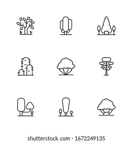 Tree line icon. Naturally beautiful symbol, wooden trunk and outline branches for map. Tree vector outline art illustration isolated on white background.