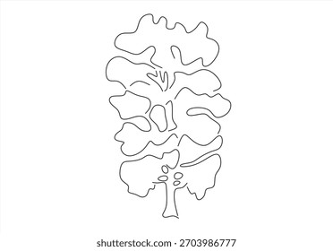 tree line icon vector .tree sign. isolated contour symbol black illustration. line drawing. Editable stroke.	
