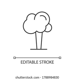Tree linear icon. Oak with leaves. Plant for gardening care. National park. Maple tree. Thin line customizable illustration. Contour symbol. Vector isolated outline drawing. Editable stroke