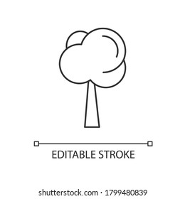 Icono lineal de árbol. Naturaleza primaveral. Planta para cultivar en verano. Atención ambiental. Ecológico. Ilustración personalizable de línea delgada. Símbolo de contorno. Dibujo de contorno aislado del vector. Trazo editable