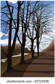 Tree lined  road