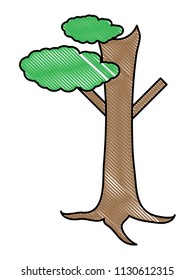 tree with little foliage