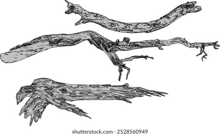 Tree log vector graphic illustration