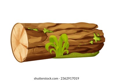 Tree log, wood, forest trunk with moss and grass in cartoon style isolated on white background. Piece or section. Detailed and textured ibject.