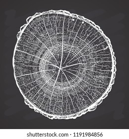 Tree log, wood growth rings grunge texture vector illustration on chalkboard background.