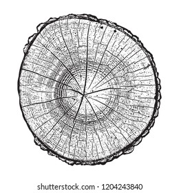 Tree log, wood growth rings grunge texture vector illustration.