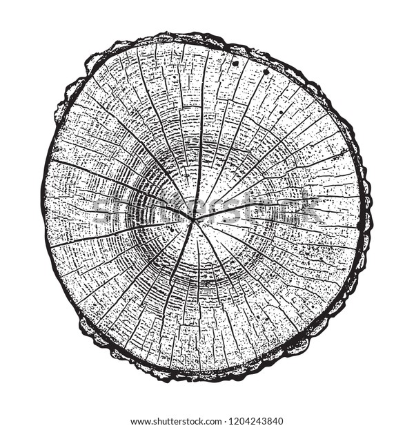 木の丸木 木の成長リング グランジテクスチャベクターイラスト のベクター画像素材 ロイヤリティフリー