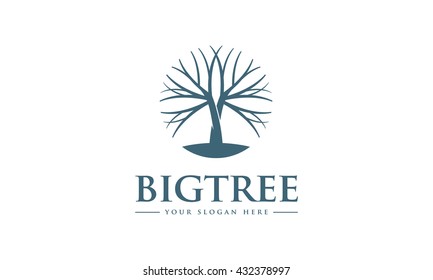 Tree Logo