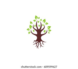 Tree logo