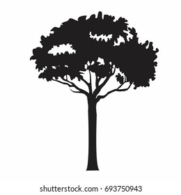tree logo
