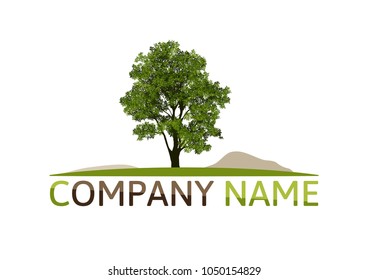 Tree Logo abstract design vector.eco concept.tree Realistic.