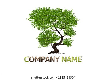 Tree Logo abstract design vector.eco concept.tree Realistic.