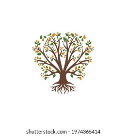 tree logo with beautiful leaf color on white background