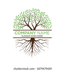 Tree logo with branch and root for business company
