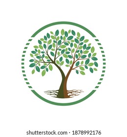 tree logo with circle frame vector