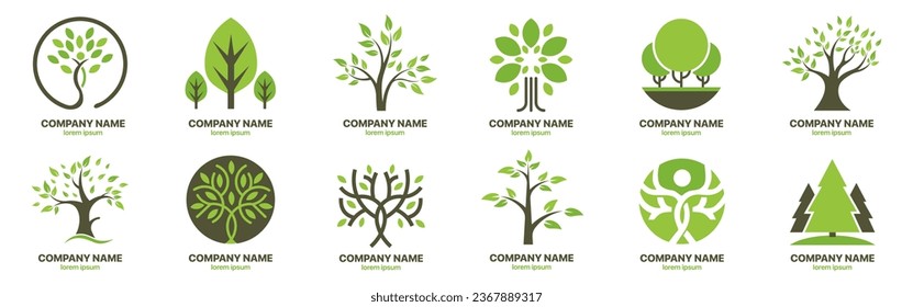 Tree logo collection for company, brand. Botanical plant nature icons for business. Natural tree logotype set