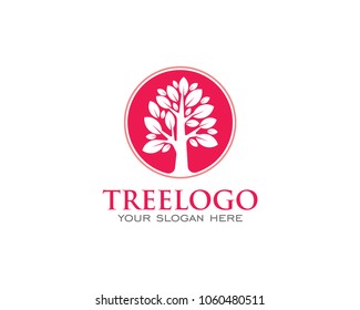 Tree Logo Concept