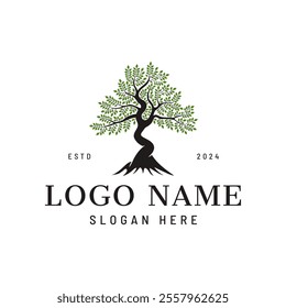 Tree logo concept - Tree of life design inspiration