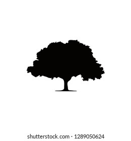 tree logo design