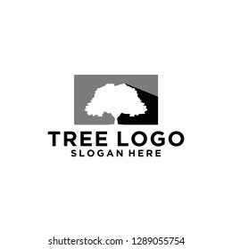 tree logo design