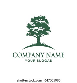 Oak Tree Logo Design Stock Vector (Royalty Free) 1012534762