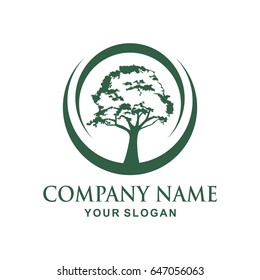 tree logo design