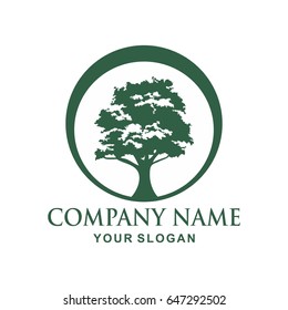 Tree logo design