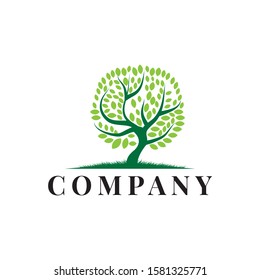 TREE LOGO DESIGN element nature luxury