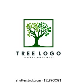 Tree Logo design, Forest icon vector