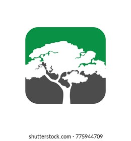 Tree logo design and  icon templates