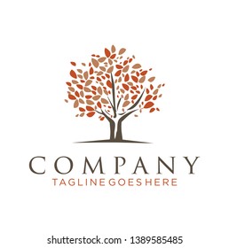 Tree logo design inspiration - Vector 