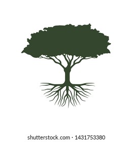 Tree logo design. Tree of life logo design inspiration isolated on white background. Root Of The Tree logo illustration