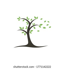 Tree logo design. Minimalist green tree logo symbol. 