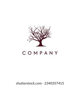 Tree logo design, photography logo, media logo