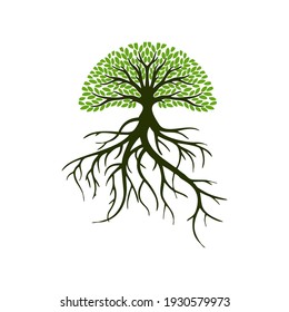 tree logo design, root vector - Tree of life logo design inspiration isolated on white background