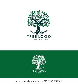  tree logo design, root vector - Tree of life logo design inspiration isolated on white background.