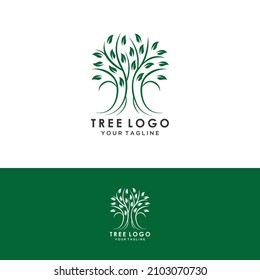  tree logo design, root vector - Tree of life logo design inspiration isolated on white background.