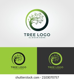  tree logo design, root vector - Tree of life logo design inspiration isolated on white background.