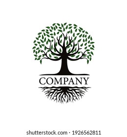 Tree logo design, roots vector - Tree of life logo design inspiration isolated on white background