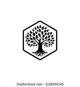 Tree logo design, roots vector - Tree of life logo design inspiration isolated on white background