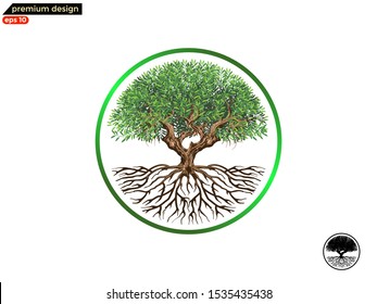 Tree logo design with round shape, vector isolated