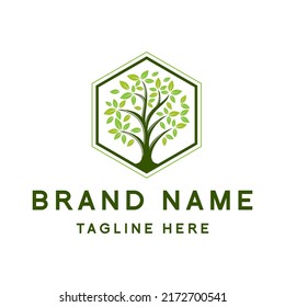 Tree logo design, simple hexagon shape