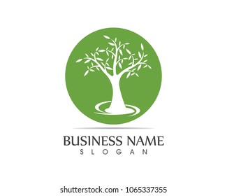 Tree logo design template